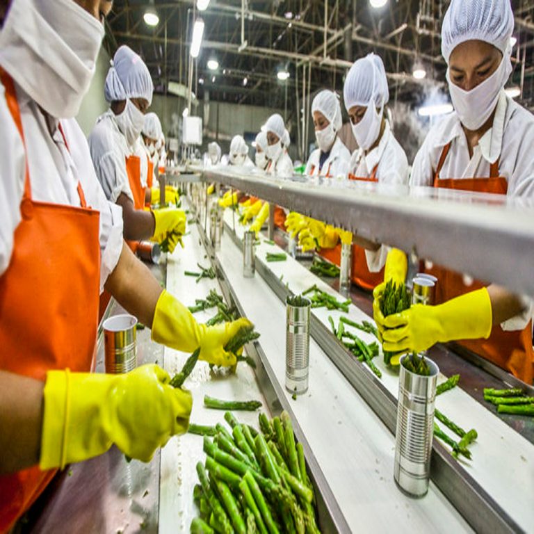 Food_Processing_Image