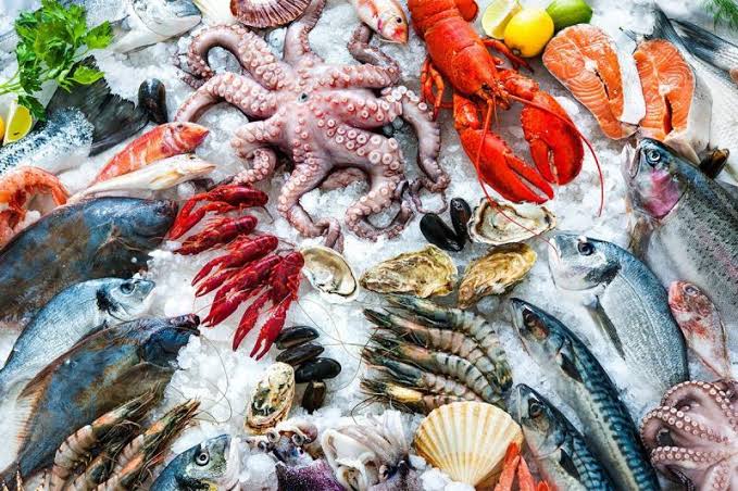 Trump Tariffs May Cost Indian Seafood Industry INR 24,000 Cr: Morgan Stanley